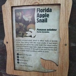 Signage Example at London, 16/11/11