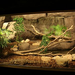Water monitor enclosure