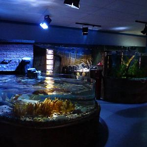 Native marine tanks
