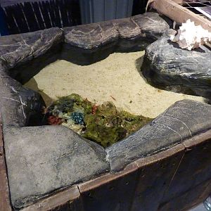 More than just a touch tank