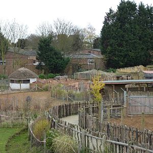 Wanyama village area