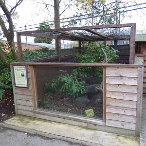 Polecat enclosure