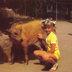 Catskill Game Farm Postcard