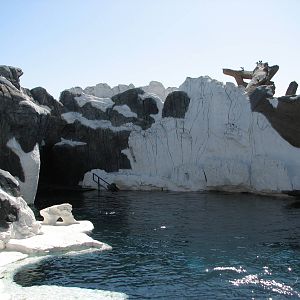 Wild Arctic - Beluga Exhibit