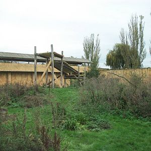 Sumatran Tiger exhibit 14th October 2011