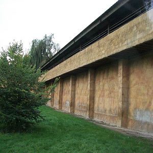 Sumatran Tiger exhibit 14th October 2011