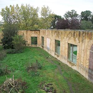 Sumatran Tiger exhibit 14th October 2011