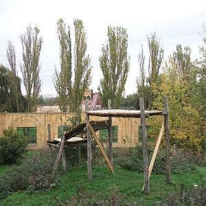 Sumatran Tiger exhibit 14th October 2011