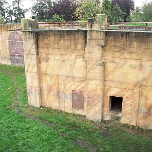Sumatran Tiger exhibit 14th October 2011