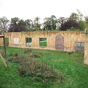 Sumatran Tiger exhibit 14th October 2011