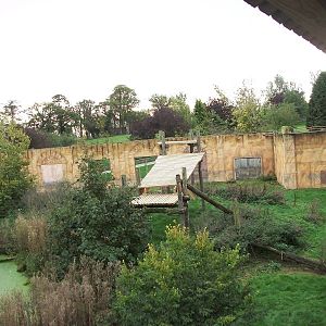 Sumatran Tiger exhibit 14th October 2011