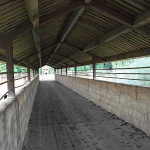 Raised walkway between Tiger exhibits