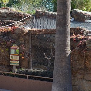 Thick-billed Parrot Enclosure