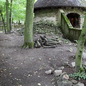 Planckendael - Europe (Badger)