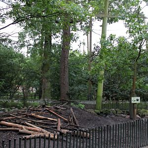 Planckendael - Europe (Aviary/Beaver)