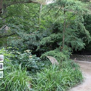 Planckendael - Europe (Aviary)