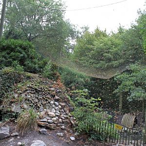 Planckendael - Europe (Aviary)