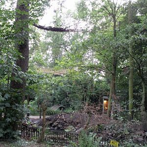 Planckendael - Europe (Aviary)