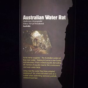 Signage Example at London, 16/11/11