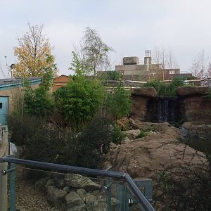 Otter Exhibit at London, 16/11/11