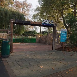 Penguin Beach at London, 16/11/11