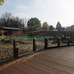 Penguin Beach at London, 16/11/11