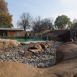 Penguin Beach at London, 16/11/11