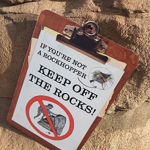 Penguin Beach at London, 16/11/11