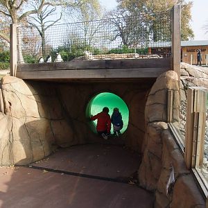 Penguin Beach at London, 16/11/11