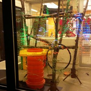 Children's Zoo-Bearcat nursery