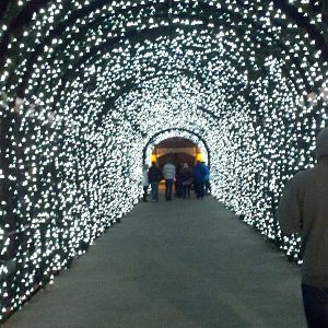 Bridge from Entrance to Exit during the Festival of Lights