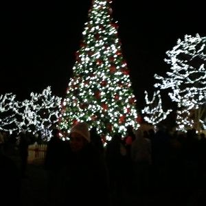 General View near the Entrance