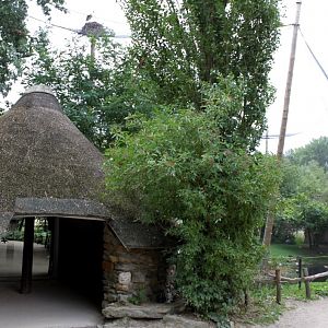 Planckendael - African Aviary