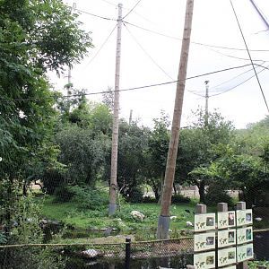 Planckendael - African Aviary