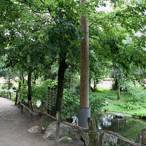 Planckendael - African Aviary