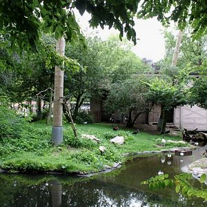 Planckendael - African Aviary