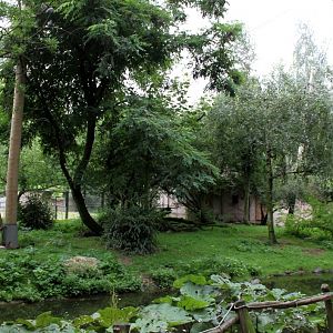 Planckendael - African Aviary