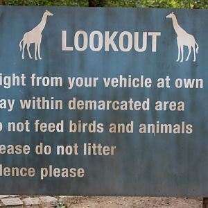 Planckendael - Africa