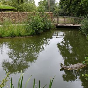 Planckendael - Africa