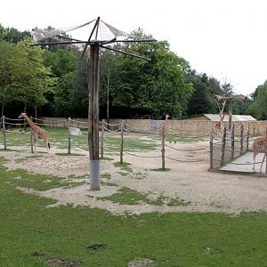 Planckendael - Africa (Giraffe savannah)