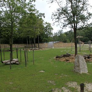 Planckendael - Africa (Giraffe savannah)