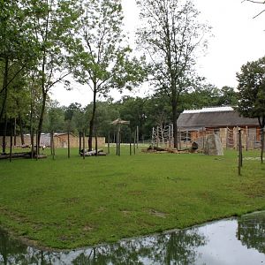 Planckendael - Africa (Giraffe savannah)
