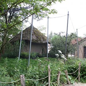 Planckendael - Africa (Aviary)