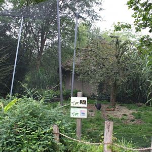 Planckendael - Africa (Aviary)