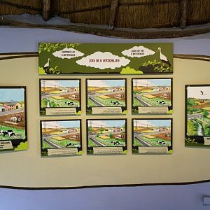 Planckendael - Stork Conservation