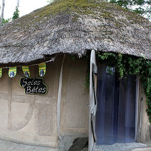 Planckendael - African Village (Terrarium)