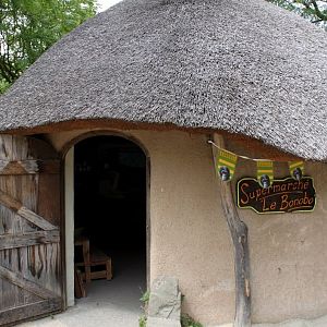 Planckendael - African Village (Bonobo Supermarket)