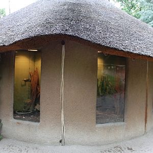 Planckendael - African Village (Terrarium)
