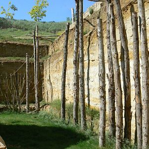 Giant south american aviary - general view
