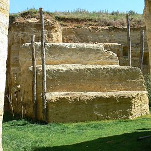 Giant south american aviary - general view